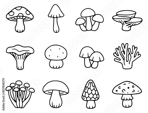 Hand drawn line art mushroom set featuring a variety of fungi for nature and culinary design projects