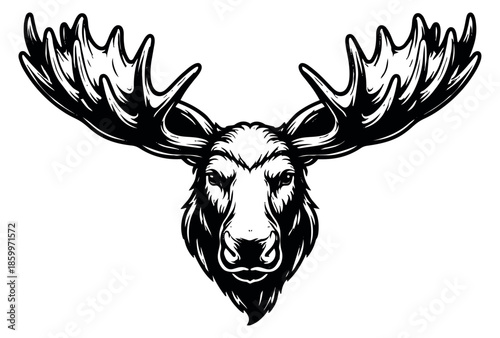 Hand drawn line art illustration of a moose head depicting a majestic front view for wildlife branding