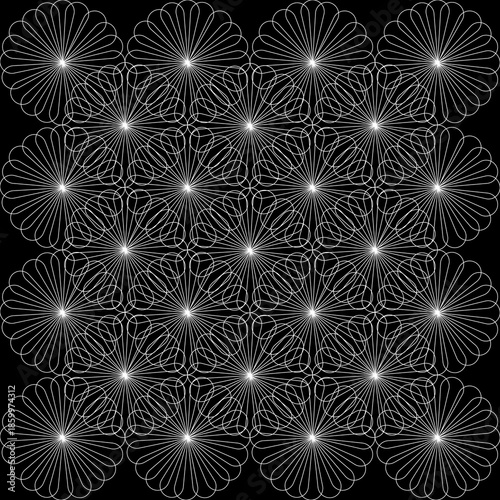 Wallpaper Mural pattern, invitation, abstract, monochrome, draw, herbal, elegant, graphic, illustration, plant, flower, leaf, nature, natural, herb, vector, minimalist, outline, branch, line, decorative, bloom, black Torontodigital.ca