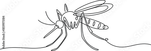 Black and white mosquito with long legs and antennae