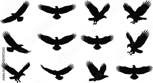 Flying eagle silhouettes set, birds of prey wings spread isolated on white background for wildlife design, nature branding projects