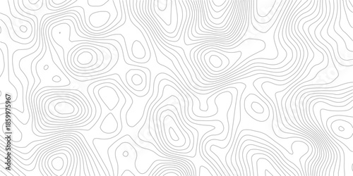 Elegant Modern Seamless Geometric Background with Thin Black Lines and Circular Wave Ornament Pattern