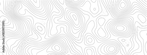 Abstract Seamless Geometric Vector Pattern with Black and Light Linear Design and Circular Wave Ornaments for Modern Wallpaper