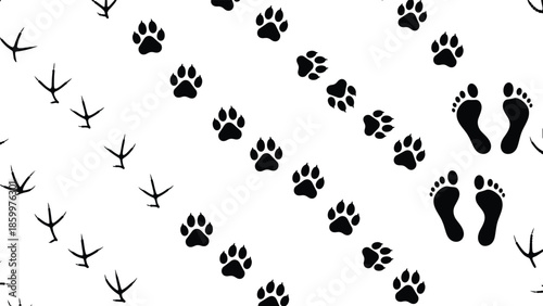 Animal footprint trail illustration, bird tracks dog paw prints and human footsteps, black silhouettes pattern, wildlife tracking concept vector design