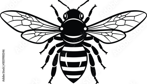 WebBlack and white honey bee vector illustration, isolated insect silhouette icon for logo design, apiary mascot symbol on white background