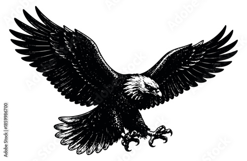 Hand drawn line art illustration of a bald eagle depicting a majestic bird in flight with outstretched wings for designs symbolizing freedom and power