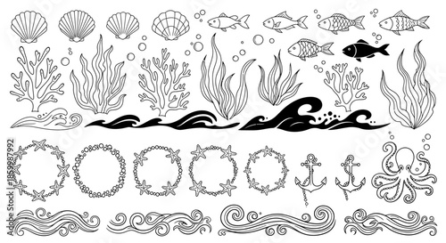 Black and white ocean sea life.