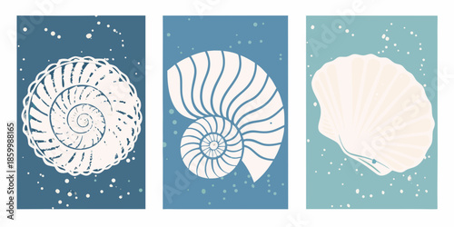 A trio of vintage style seashell illustrations on a blue speckled background
