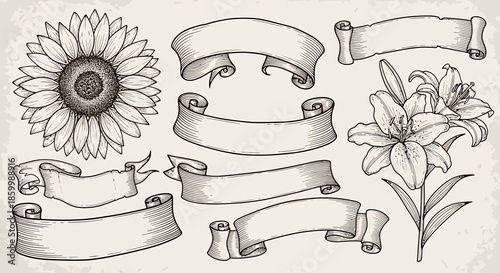 Ribbons and Flowers Illustration.