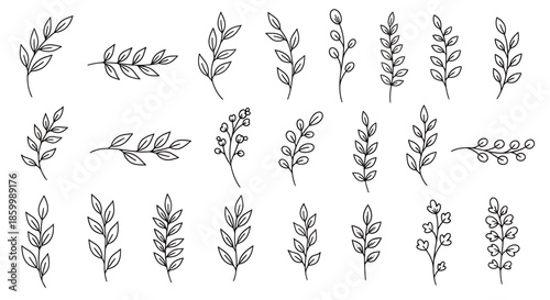 Various types of leafy plant branches.