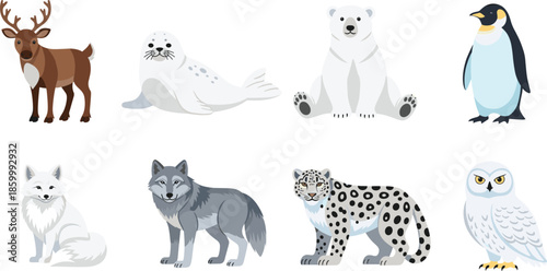 Arctic animal vector set with reindeer seal polar bear penguin arctic fox wolf snow leopard and snowy owl isolated on white background.