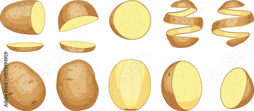 Fresh potato vector set featuring whole raw potatoes halved sections sliced pieces and curled potato skins isolated on white background for cooking.