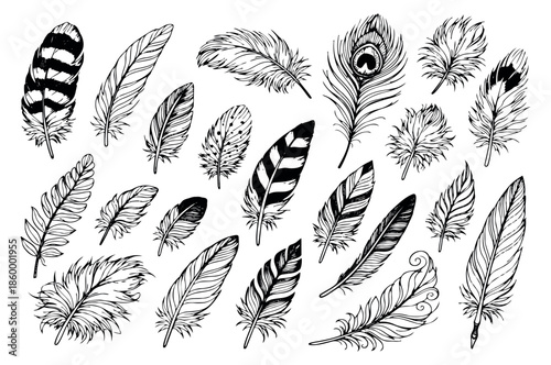 Hand drawn line art feathers set featuring diverse natural bird plumes and a peacock feather for decorative projects