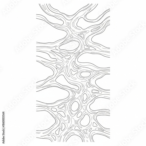 Complex Interwoven Patterns Forming a Dynamic and Fascinating Network Structure