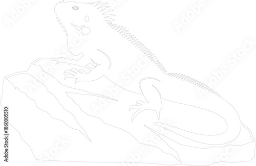 Iguana on Rock Line Art Vector Illustration Outline Drawing of Lizard Reptile for Coloring Book or Tattoo Design