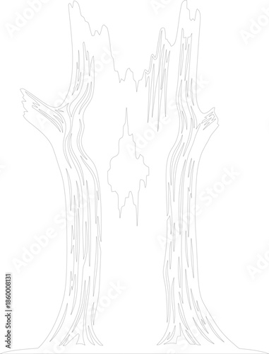Gnarled Tree Trunks Outline Frame Vector Illustration Spooky Forest Entrance Graphic Resource