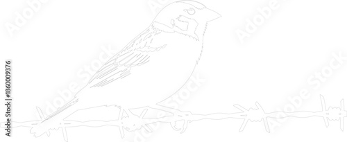 Outline Vector of a Small Bird Perched on Barbed Wire Monochromatic Stencil Graphic