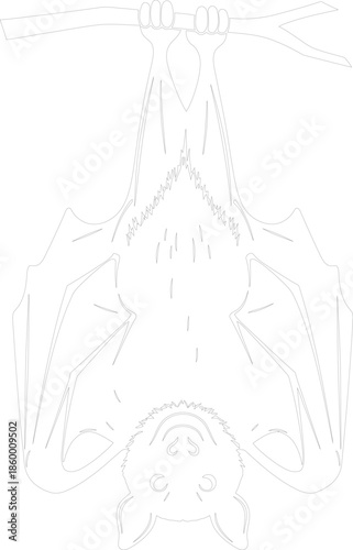 Bat Hanging Upside Down Line Art Vector Illustration Simple Outline Drawing on Tree Branch Black and White Design for Coloring Book or Halloween