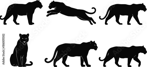 Panther silhouette vector, big cat poses, dynamic feline movement illustration, wild animal graphic design, nature themed predator art, flavector