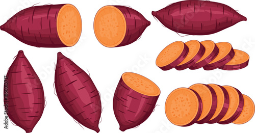 Fresh raw sweet potato set with whole tubers halved pieces and round slices isolated on white background for healthy food cooking design