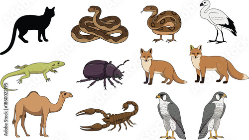 Wild animal vector set with fox snake camel falcon scorpion lizard beetle and bird illustrations isolated on a white background for design.