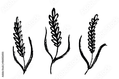 Set of hand drawn cereal wheat oat rye barley rice ears spikelet clipart Organic wheat bread agriculture farming harvest healthy food Single element for design print packaging label decor
