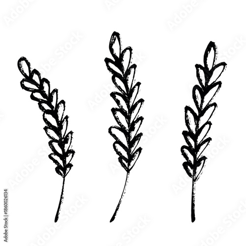 Set of hand drawn cereal wheat oat rye barley rice ears spikelet clipart Organic wheat bread agriculture farming harvest healthy food Single element for design print packaging label decor