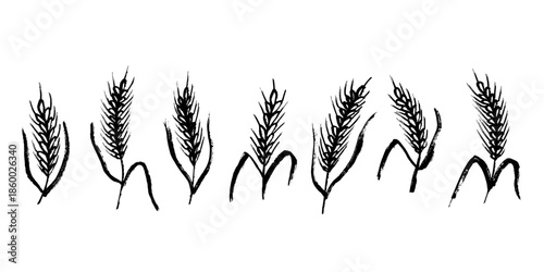 Set of hand drawn cereal wheat oat rye barley rice ears spikelet clipart Organic wheat bread agriculture farming harvest healthy food Single element for design print packaging label decor