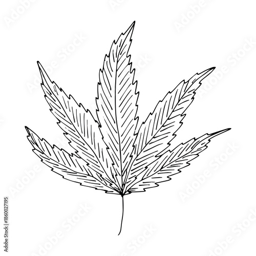 Hand drawn cannabis leaf Medicine marijuana Hemp leaves clipart in doodle style Single element for print, web, design, decor