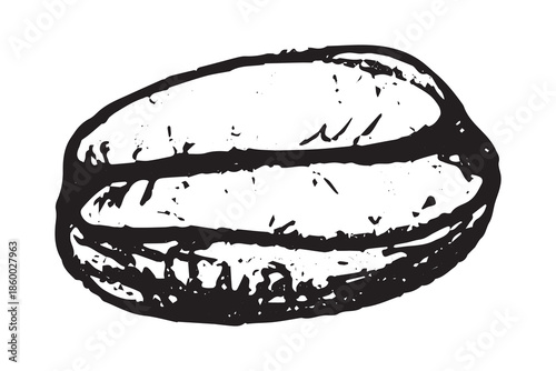 Hand drawn fresh roasted coffee bean Arabica robusta seed doodle Single element for print, web, design, decor