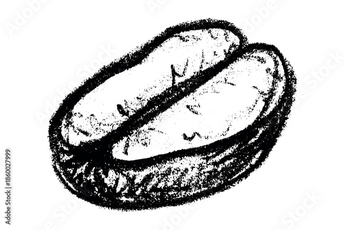 Hand drawn fresh roasted coffee bean Arabica robusta seed doodle Single element for print, web, design, decor