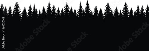 Panoramic pine forest silhouette background, coniferous tree line horizon in black and white, cad drawing flat vector illustration