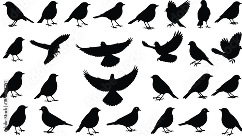Set of flying and standing bird silhouettes, black nature animal icons collection, cad drawing flat vector illustration