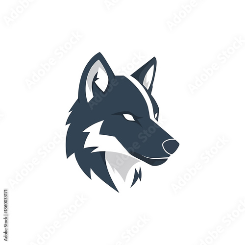 Intense gaze of a majestic wolf, a symbol of wild nature.