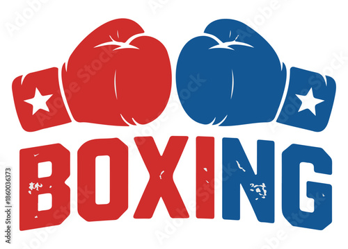 Red and Blue Boxing Gloves with White Stars Vectot on a White Background