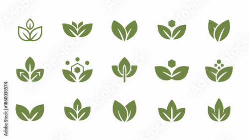 Collection of Green Leaf Illustrations and Icons.
