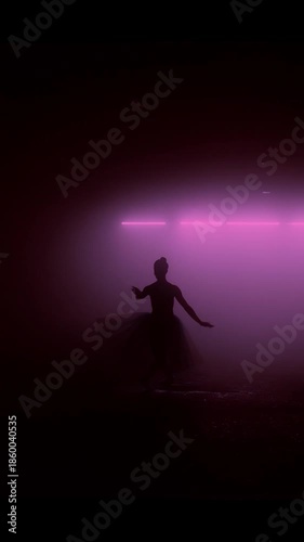 Graceful ballerina dance. silhouette of a girl in a tutu