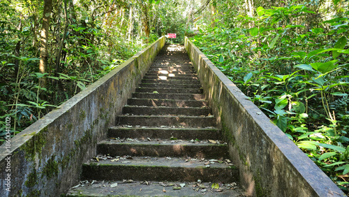 Stairs leading up the  PhouFar mountain in phongsaly Laos