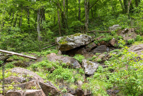 Canyon walls of a mountain river with unusual stone cliffs in the summer