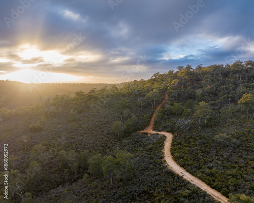 Aerial dirt track winding through forested hills at sunrise