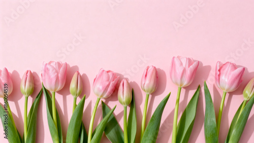 Row of pink tulips with green stems and leaves arranged horizontally against a soft pink background