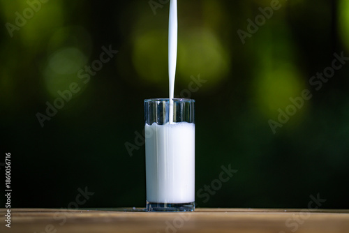 Vászonkép Natural milk pour outdoor