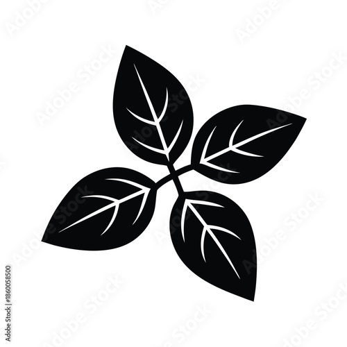 Basil Leaves Cluster Icon Vector Illustration
