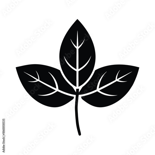 Basil Leaves Icon Vector Illustration
