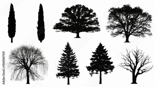 Collection of Silhouetted Trees in Various Shapes and Sizes.