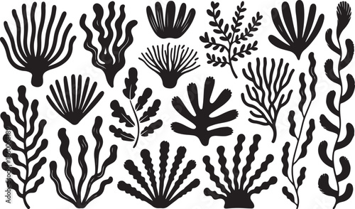 Collection of black coral and seaweed silhouettes on white background