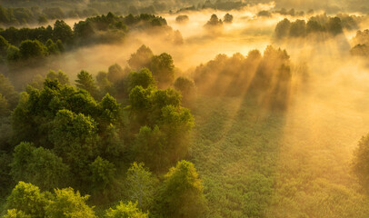 Keuken achterwand Mistige ochtendstond Mist boven uitgestrekt bosgebied  © Piotr Krzeslak