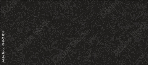 Topographic Map Pattern Abstract Geographical Featuring Elegant Elevation Contour Lines, Organic Terrain Textures, and Minimalist Relief Mapping for Modern Design.