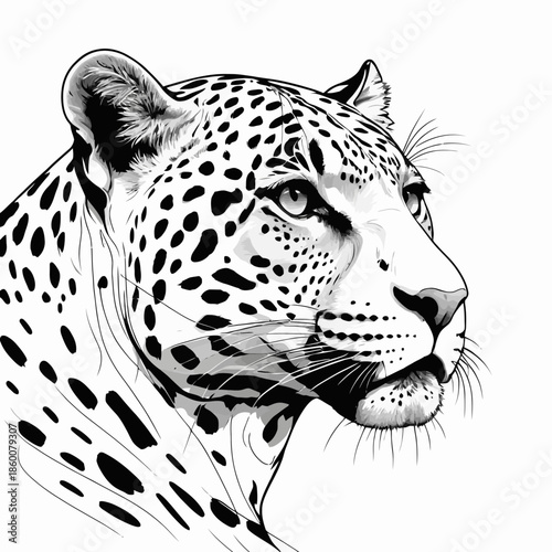A black and white illustration of a leopard's head with a focused gaze