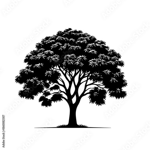 Mango Tree Vector Illustration with Lush Tropical Canopy